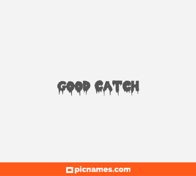 Good Catch